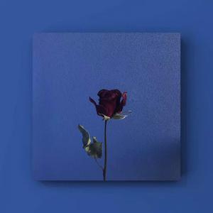 俄罗斯与欧美性爱电影
